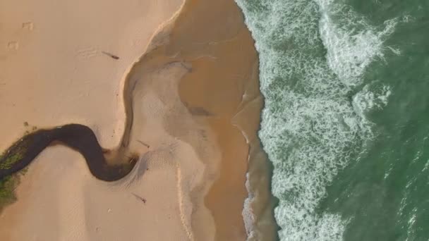 ビーチの砂の上を波が海岸を打つ散歩をしているいくつかの観光客の空中トップダウンビュー 明るい晴れた日に — ストック動画