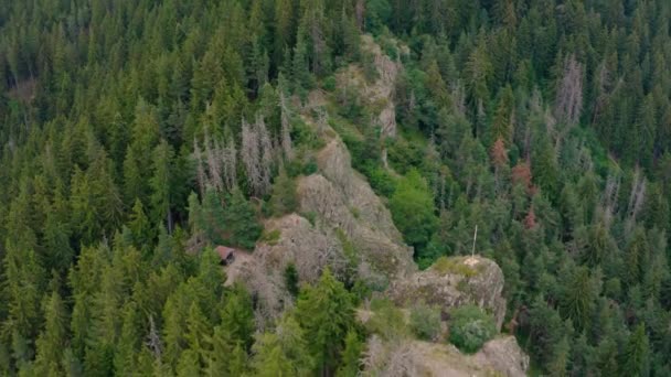 Πετώντας Πάνω Από Πράσινα Δέντρα Στα Βουνά Της Ροδόπης Στη — Αρχείο Βίντεο