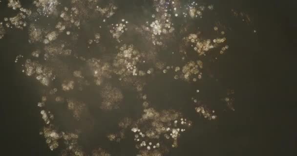Медленное Движение Фейерверков Отражающихся Поверхностных Водах Поднимающихся Небо Национальный День — стоковое видео