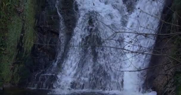 Cascata Invernale Con Rami Primo Piano Slomo — Video Stock