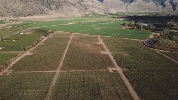 Abgekippter Schuss Similkameen Tal Oberhalb Von Apfelplantagen Luftaufnahme — Stockvideo