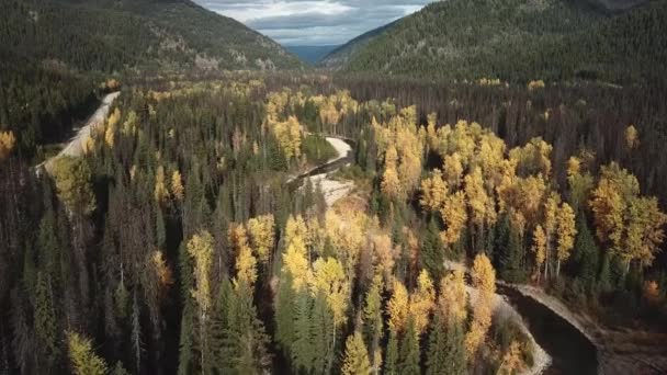 Latanie Nad Rzeką Similkameen Która Meandruje Jesiennym Lesie Górami Tle — Wideo stockowe