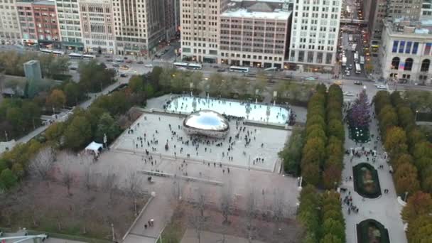 Millennium Park Chicago Famoso Feijão Chicago Vista Belo Parque Drone — Vídeo de Stock