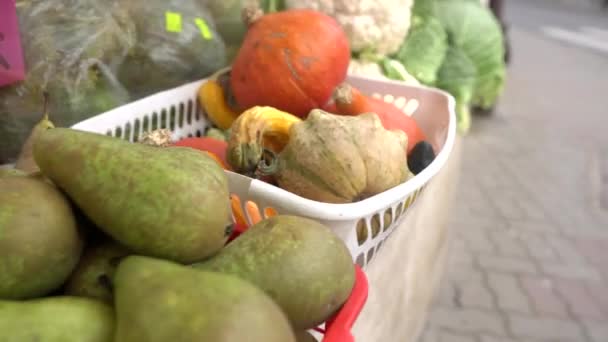 Obst Und Gemüse Auf Dem Freien Markt Auf Einer Leeren — Stockvideo