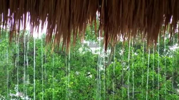 Nostálgica Tarde Lluviosa Pensando Sentir Naturaleza Pensando Ver Caer Lluvia — Vídeos de Stock