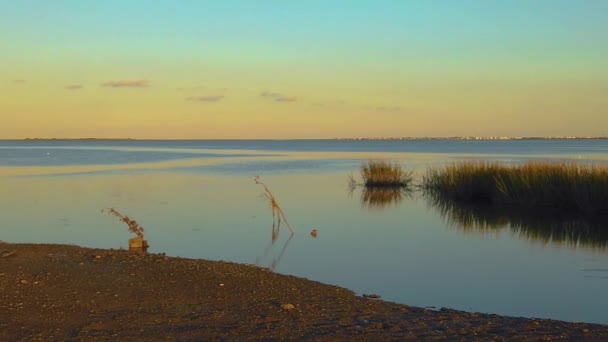 120 Fps Pan Sinistra Destra Dalla Vista Sul Corso Acqua — Video Stock