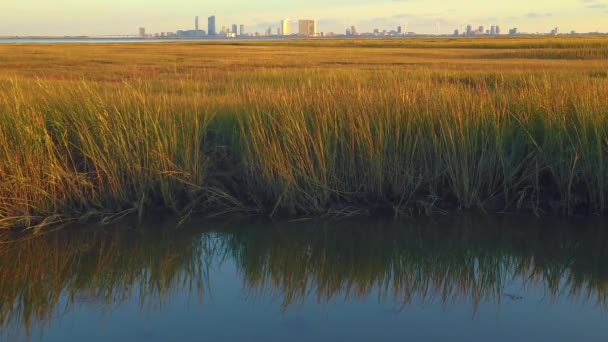 120 Fps Static Handheld Shot Waterway Tall Grass Atlantic City — Stock Video