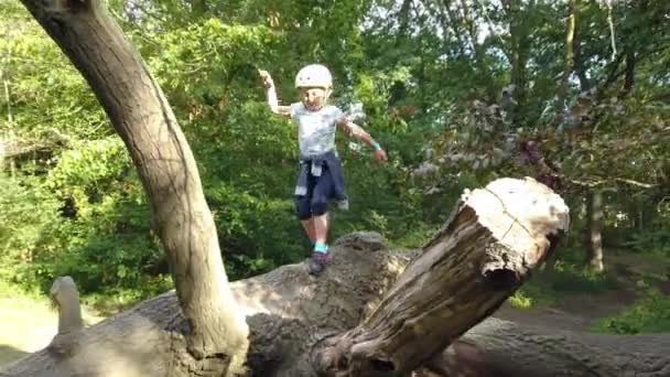 Menina Caucasiana Jovem Corajosa Com Capacete Andando Tronco Árvore Grande — Vídeo de Stock