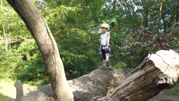Νεαρό Κορίτσι Καυκάσιος Περπάτημα Ένα Κορμό Μεγάλο Δέντρο Στο Δάσος — Αρχείο Βίντεο