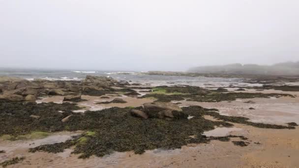 Haar Komt Van Noordzee Naar North Berwick Land Schotland — Stockvideo