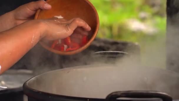 煮込み鍋でシチューを作る — ストック動画