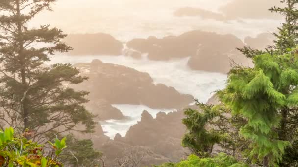 Timelapse Nebbia Nebbia Rolling Sulla Penisola Ucluelet — Video Stock