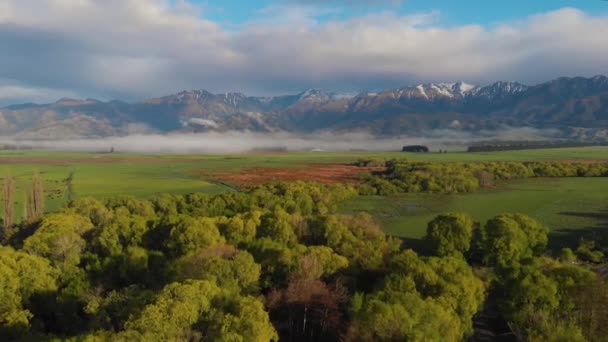 Lassan Repül Oldalra Egy Zöld Mező Felett Fákkal Ködös Hegyvonulat — Stock videók