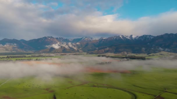Панорамный Вид Зеленый Туманный Ландшафт Фермерские Угодья Горы Саут Айленд — стоковое видео