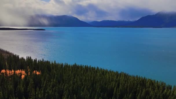 Bosque Prístino Junto Lago Atlin Con Montañas Fondo Rayo Sol — Vídeos de Stock