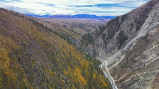 Rückwärts Über Burwash Creek Kluane National Park British Columbia Arid — Stockvideo