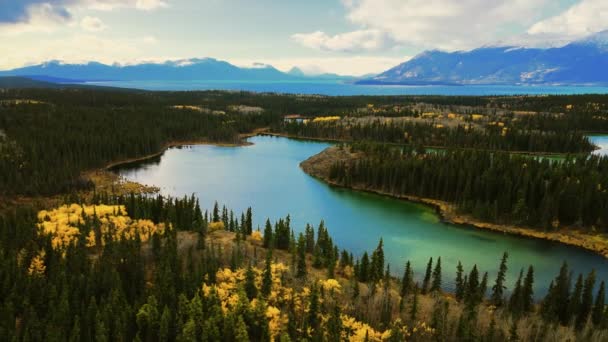 Mountain River Omgitt Skogstrær Rolig Atlin Lake Britisk Columbia – stockvideo