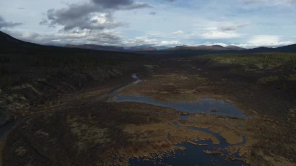 Panoramautsikt Över Bäverdammen Lugn Ström Vatten Flyg Framåt Brittiska Colombia — Stockvideo