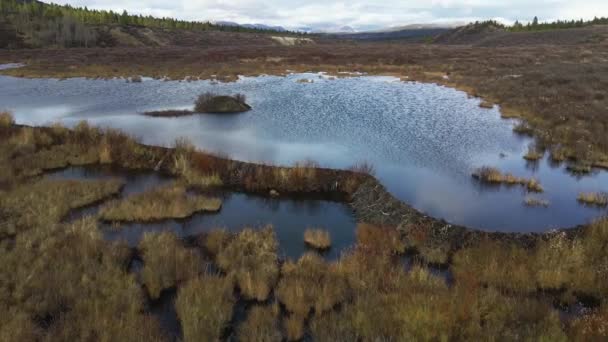 Vedere Aeriană Unui Baraj Castor Găsit British Columbia Canada — Videoclip de stoc