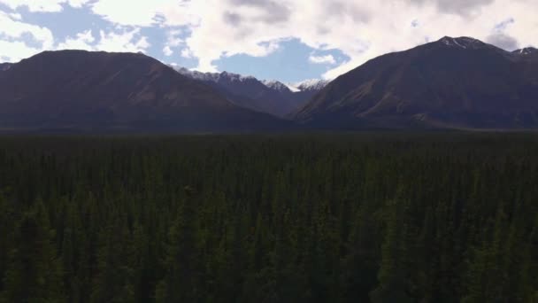 Panorama Panoramico Del Parco Nazionale Kluane Foresta Montagne — Video Stock