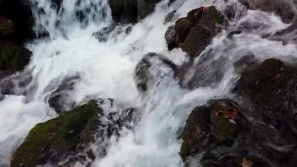 Крупный План Водопада Скал Ручье Фоллс Парке Чугач Недалеко Анкориджа — стоковое видео
