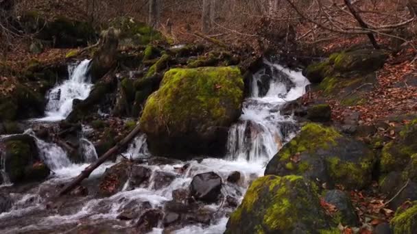 Double Cascade Avec Blocs Couverts Mousse Sur Ruisseau Falls Dans — Video