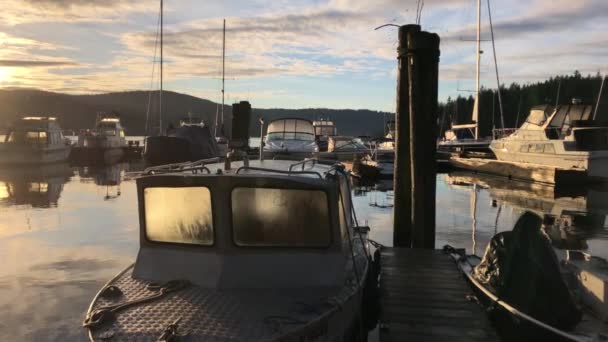 Salida Del Sol Puerto Deportivo Vancouver Con Barcos Agua Paneo — Vídeos de Stock