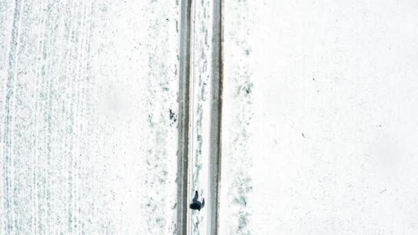 Karlı Bir Yolda Kar Fırtınasında Yürüyen Bir Adamın Statik Görüntüsü — Stok video
