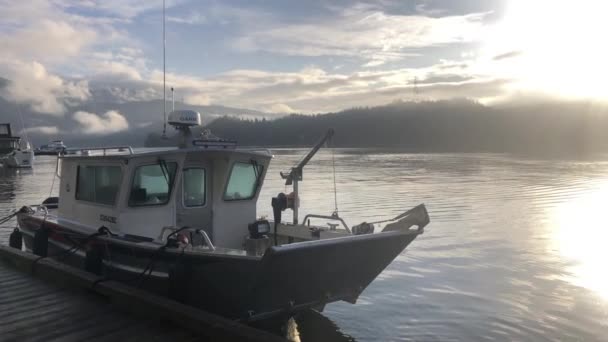 Bateau Pêche Balançant Amarré Marina Ensoleillée Dessus Forêt Tir Long — Video