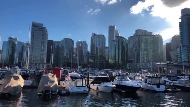 Marina Vancouver Fylld Med Hel Del Nöje Yachter Med Skyskrapor — Stockvideo