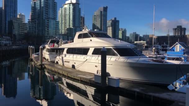 Lyxbåtar Förtöjda Vid Frusen Brygga Med Skyline Vancouver Bakgrunden Och — Stockvideo