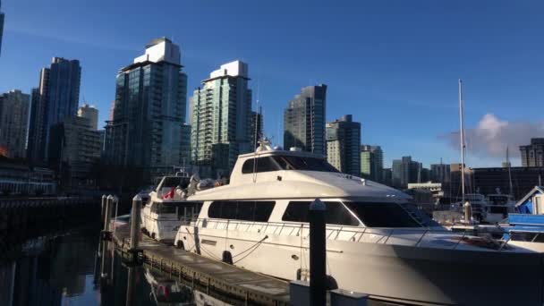 Lyxbåtar Förtöjda Vid Frusen Brygga Med Skyline Vancouver Bakgrunden Och — Stockvideo