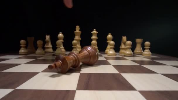 5,400+ King Chess Piece Stock Videos and Royalty-Free Footage