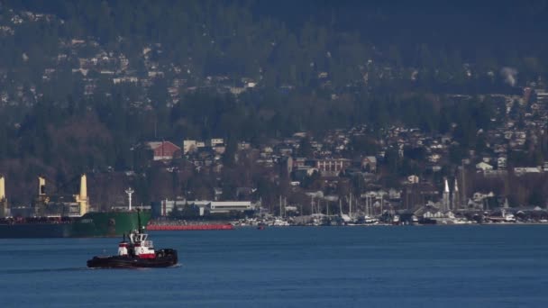Schlepper Fahren Hafen Von Vancouver Zum Nächsten Schleppkommando Hintergrund Ein — Stockvideo