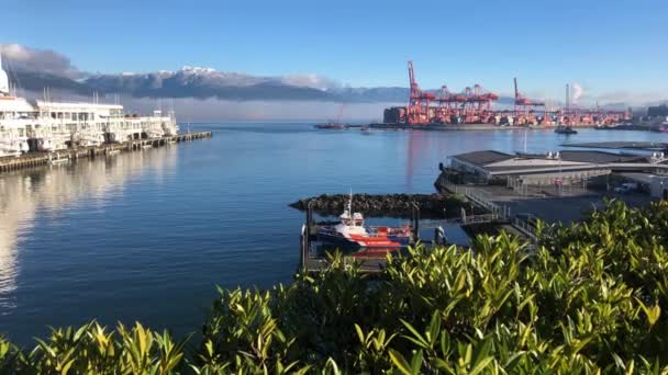 Seabus Odplouvá Přístavu Vancouveru Kontejnerovým Terminálem Portálovými Jeřáby Pracujícími Kontejnerové — Stock video