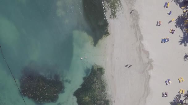 Беспилотник Aerial Доминиканская Республика Пуэрто Плата Песчаные Белые Пляжи Тропические — стоковое видео