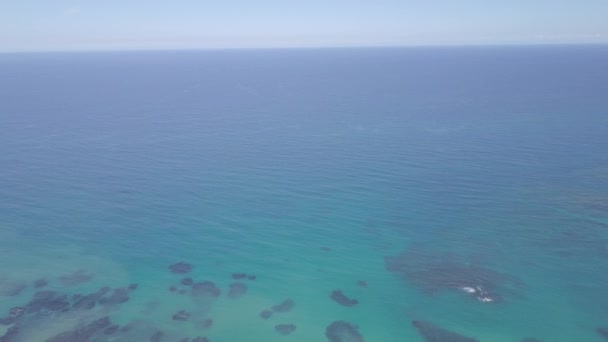 Drone Pan Vers Bas Dans Récif Corallien République Dominicaine Puerto — Video