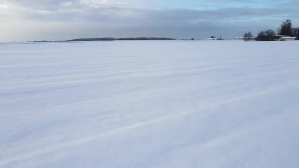 冬に見える足跡で覆われた空のフィールドのドローンショット 雪の冬の公園 霜や雪に覆われた土地のフィールド 冬の田園風景 — ストック動画