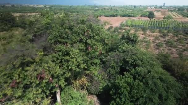 Vergessene Tempel Kambodscha Prasat Banteay Khchorng Drohnenrückflug Enthüllen — Stockvideo