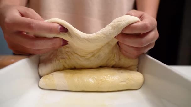 Les Mains Femme Roulent Pâte Pizza Dans Une Casserole Pizza — Video