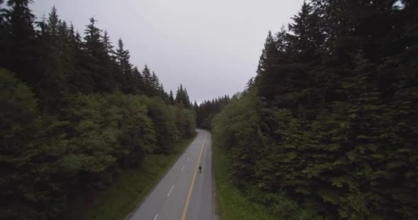 Drone Film Efter Cyklist Mount Seymour Cykling Smal Väg Skogen — Stockvideo