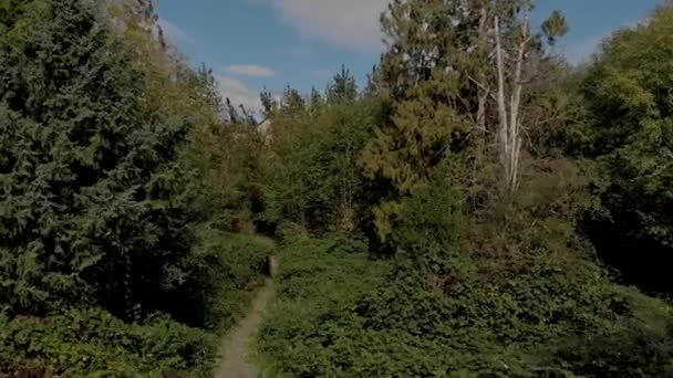 Drohne Filmt Cloverdale Auf Bewaldetem Wander Und Radweg Wald — Stockvideo