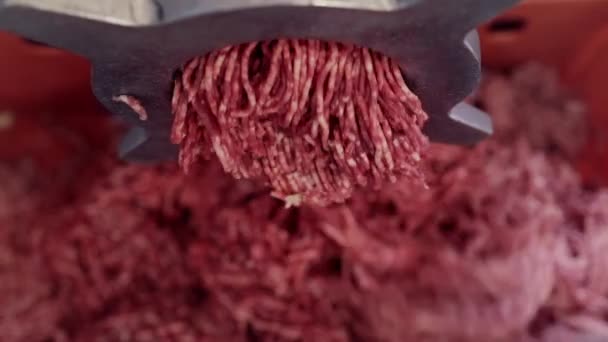 肉类加工厂的工业用肉磨机正在释放切肉 — 图库视频影像