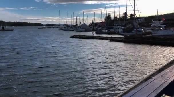Multiple Luxury Sail Yachts Moored Wooden Scaffoldings Ganges Marina Salt — Stock Video