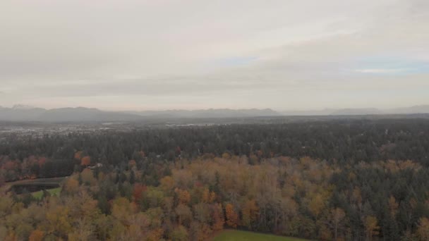 ドローン4K曇りの日に撮影された農村開発環境と背景の都市の都市の森の厚さの映像 — ストック動画