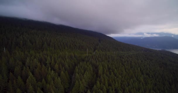 Drone Nagranie Pięknego Bujnego Wiecznie Zielonego Lasu Iglastego Zbocza Góry — Wideo stockowe