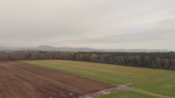 Drone Felvételek Mezőgazdasági Füves Mezők Mezőgazdasági Földterület Közelében Sűrű Erdős — Stock videók