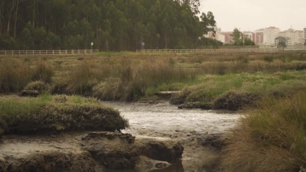 Muddy River Bed Low Tide Some Water Flowing River Ocean — Stock Video