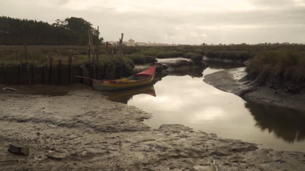 Vieux Bateau Pêche Bois Étranglé Sur Les Rives Boueuses Une — Video