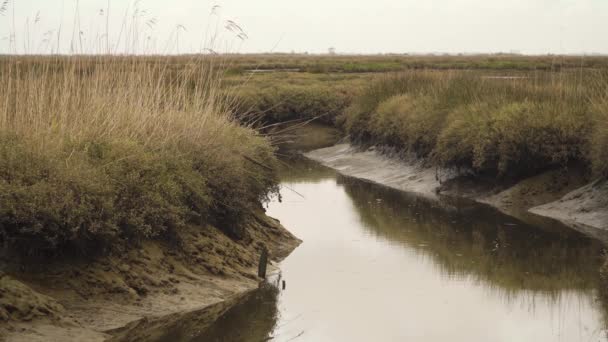 Modderige Rivierbedding Een Laagwater Met Wat Water Stroomt Langs Rivier — Stockvideo